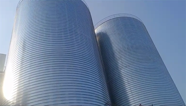 和平镇2座混凝土高架卷板仓